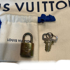 Louis Vuitton Speedy Bandoulière 25 | Monogram Canvas | Iconic City Bag