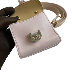 The Feminine Collector’s Favorite: Delvaux Brilliant Mini in Sakura Pink with Pochette