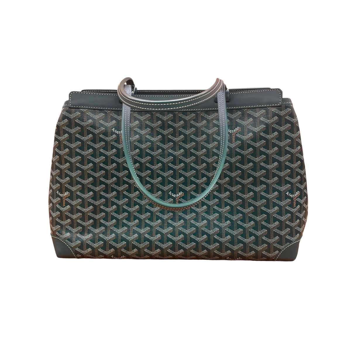 Goyard Bellechasse Biaude PM Tote Bag in Green Structured Work Bag Front View